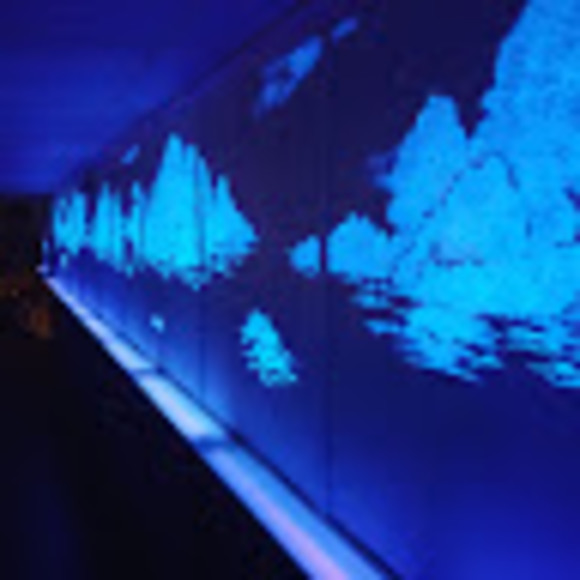 Meet your Posher, Mitchell - Picture 1 of 1